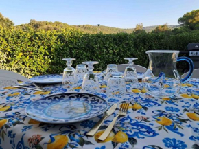 Quercy dolce vita Livorno